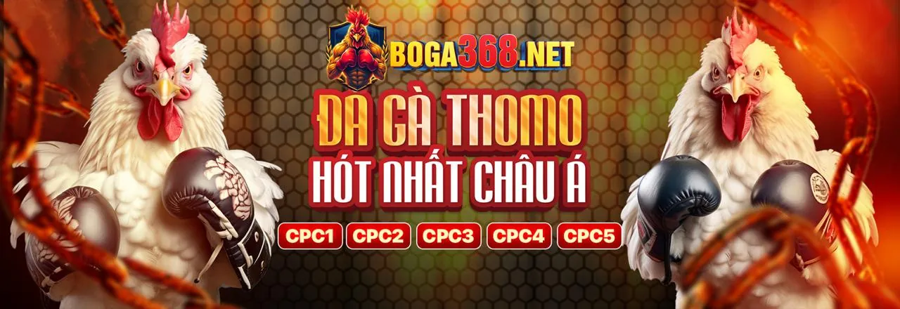 PBV88 Live Casino với Dealer chuyên nghiệp