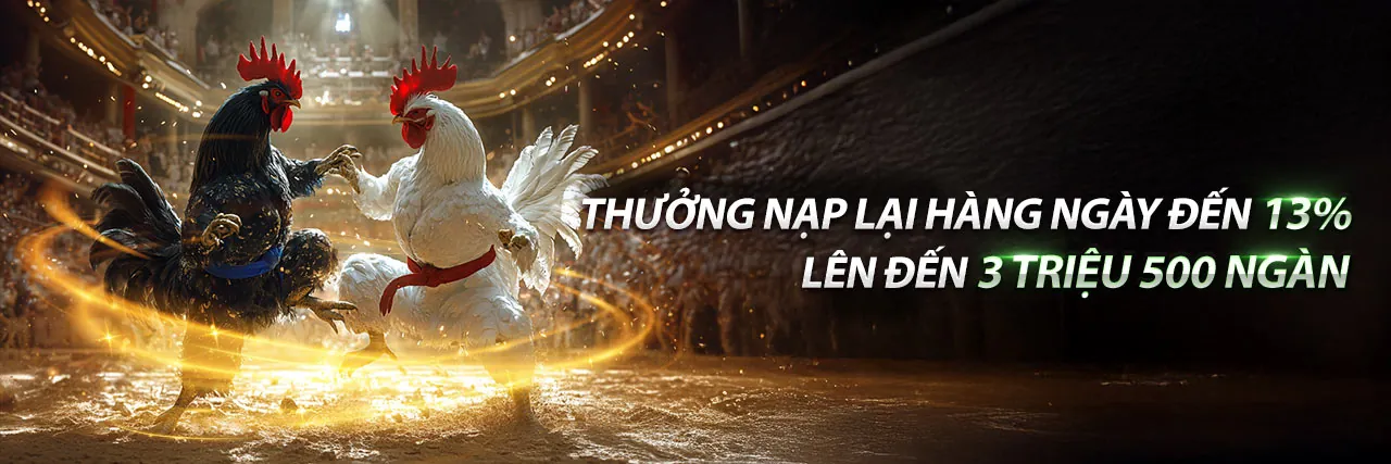 Sân đấu đá gà trực tuyến PBV88 sôi động