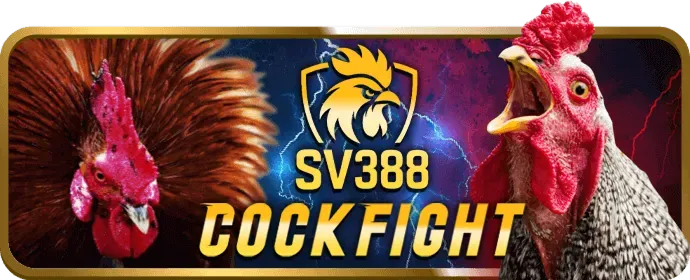 Bí Quyết Chơi Casino Trực Tuyến PBV88