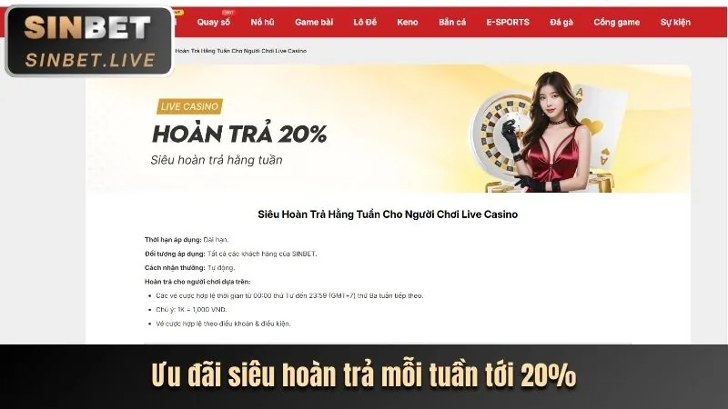 Hoàn trả hàng ngày PBV88